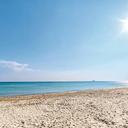 Mare 501 مارينا دي سيباري
